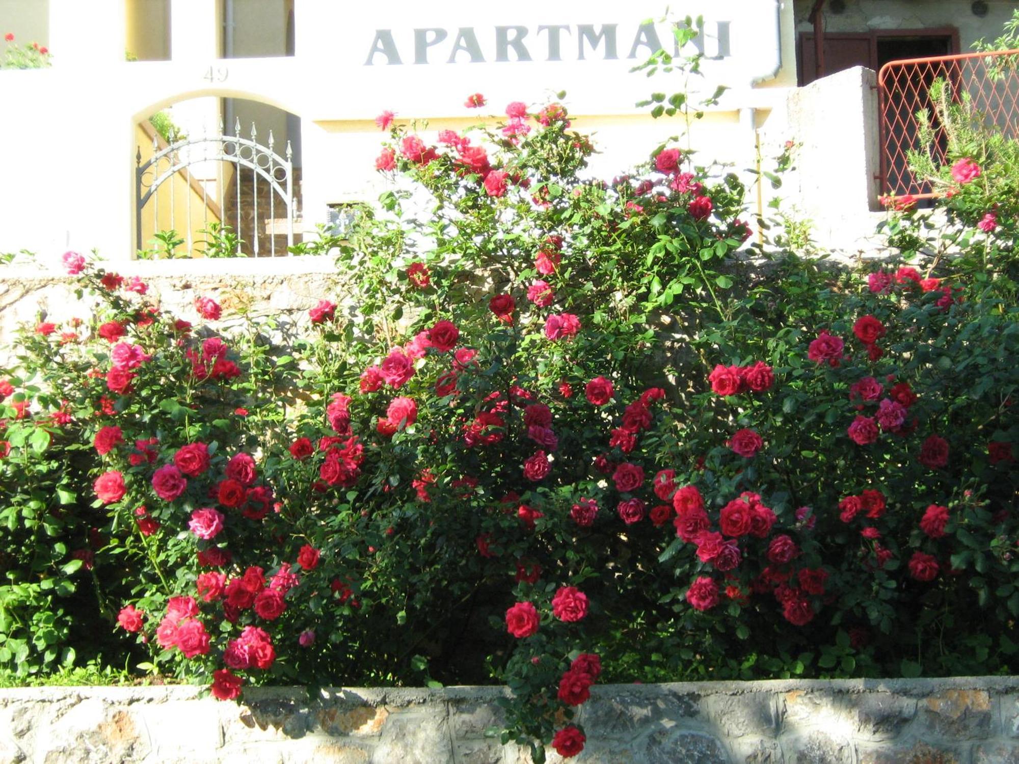 Apartments Laura Senj  Exterior photo
